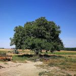 La ferme du Potager de Diane